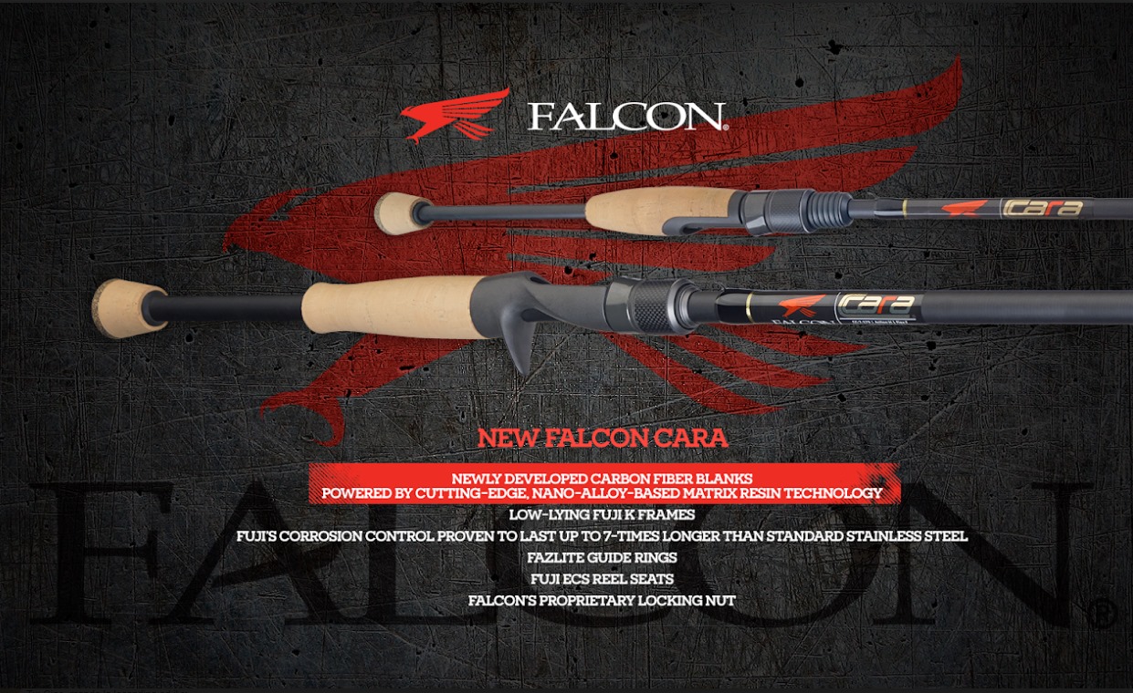 falcon cara 2021